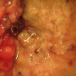 VIAC_Fig3